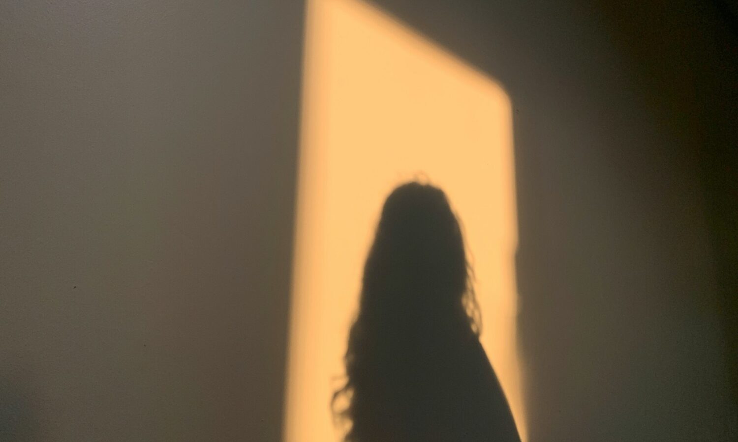 Maia barbosa j WN Ocd1 Ldb E unsplash